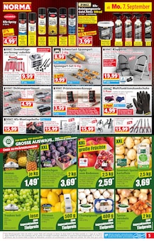 Äpfel im aktuellen Norma Prospekt (Würzburg) Äpfel im Norma Prospekt "Mehr fürs Geld" mit 27 Seiten (Würzburg)