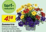 Sommertrio von  im aktuellen toom Baumarkt Prospekt für 4,59 €