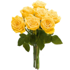 Aktuelles Großköpfige Hochland Rosen Angebot bei Netto Marken-Discount in Krefeld ab 4,44 €