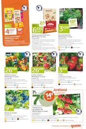 Promos Framboisier dans le catalogue "J'AIME PLANTER LE DÉCOR" de Jardiland à la page 7