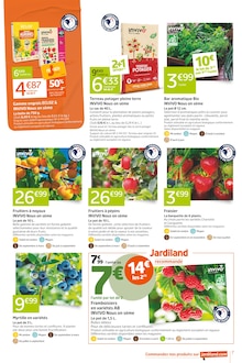 Promo Framboisier dans le catalogue Jardiland du moment à la page 7