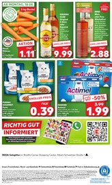 Katzenfutter im Kaufland Prospekt in Salzgitter Aktueller Kaufland Prospekt mit Katzenfutter, "Aktuelle Angebote", Seite 52