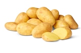 Aktuelle Kartoffeln Angebote bei Penny in Hildesheim Aktuelles Deutsche Speisefrühkartoffeln Angebot bei Penny in Hildesheim ab 1,79 €