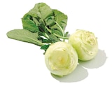 Netto mit dem Scottie Marienwerder - Kohlrabi Angebot im Prospekt Kohlrabi bei Netto mit dem Scottie im Marienwerder Prospekt für 0,59 €