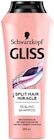 Gliss Shampoo Angebote von Schwarzkopf bei Thomas Philipps Brandenburg für 2,66 €