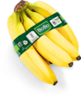 Netto Marken-Discount - Bio Möhren Angebot im Prospekt Bio Möhren bei Netto Marken-Discount im Prospekt "" für 1,69 €