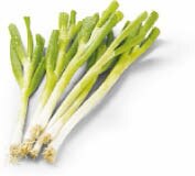 Lauchzwiebel bei Netto Marken-Discount in Bottrop Lauchzwiebel im Angebot bei Netto Marken-Discount Bottrop für 0,59 €