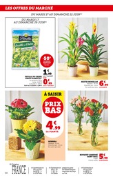 Prix et réduction Plante Verte dans le prospectus Super U en cours Offre Plante Verte dans le catalogue Super U du moment à la page 14