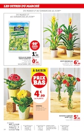 Plantes Angebote im Prospekt "Super U" von Super U auf Seite 14