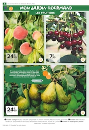 Offre Arbre Fruitier dans le catalogue Carrefour Market du moment à la page 4