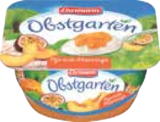 Obstgarten im Marktkauf Prospekt Obstgarten von Ehrmann im aktuellen Marktkauf Prospekt für 0,44 €