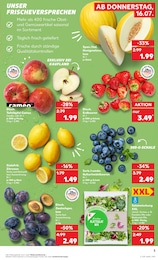 Melone im Kaufland Prospekt Melone im Kaufland Prospekt "Hier bin ich richtig" auf Seite 3