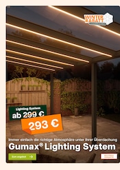 Aktueller Tuinmaximaal Prospekt mit Beleuchtung, "Winterrabatt auf das gesamte Sortiment", Seite 12