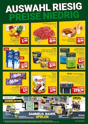 Ähnliche Kürbis Angebote im Prospekt "AUSWAHL RIESIG, PREISE NIEDRIG" von Marktkauf in Hof Ähnliche Angebote wie Kürbis im Prospekt "AUSWAHL RIESIG, PREISE NIEDRIG" auf Seite 2 von Marktkauf in Hof
