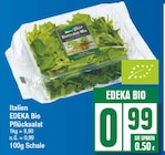 Pflücksalat Angebote von EDEKA Bio bei EDEKA Potsdam für 0,99 €