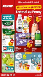 Aktueller Penny Discounter Prospekt in Altdorf und Umgebung, "Wer günstig will, muss Penny." mit 36 Seiten, 11.08.2025 - 17.08.2025