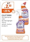 Reinigerspray im Angebot bei Müller in Trier Reinigerspray Angebote von Cillit Bang bei Müller Trier für 2,22 €