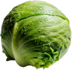 Frischemarkt Stave - Eisbergsalat Angebot im Prospekt Eisbergsalat bei Frischemarkt Stave im Prospekt "" für 0,69 €