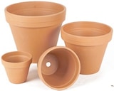 Aktuelles Terrakotta Blumentopf Angebot bei Thomas Philipps in Cottbus ab 0,69 €