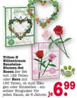 Blütentraum Bausteine-Blumen-Set Rosen oder Herz im Angebot bei E center in Rastatt Blütentraum Bausteine-Blumen-Set Rosen oder Herz Angebote von Triton-X bei E center Rastatt für 6,99 €