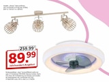 Strahler Girona im Angebot bei Segmüller in Dreieich Strahler Girona Angebote bei Segmüller Dreieich für 89,99 €
