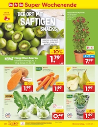 Netto Marken-Discount Kraeutertopf im Prospekt Netto Marken-Discount Kraeutertopf im Prospekt
