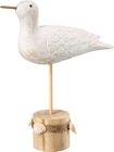 Holzmöwe auf Sockel mit Muscheln im Angebot bei dm-drogerie markt in Magdeburg Holzmöwe auf Sockel mit Muscheln Angebote von Dekorieren & Einrichten bei dm-drogerie markt Magdeburg für 4,75 €