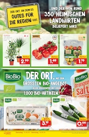 Äpfel im Netto Marken-Discount Prospekt in Wesel Aktueller Netto Marken-Discount Prospekt mit Äpfel, "Neueröffnung - 10% auf ALLES", Seite 2