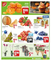 Aktueller EDEKA Prospekt mit Garten, "Wir lieben Lebensmittel.", Seite 5