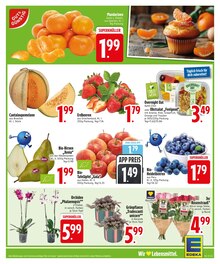 Blumen im EDEKA Prospekt "Wir lieben Lebensmittel." mit 30 Seiten (Augsburg)