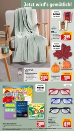 Herbstdeko Angebot & Preis im aktuellen REWE Prospekt Herbstdeko Angebot im aktuellen REWE Prospekt auf Seite 27
