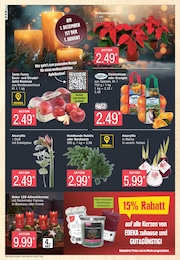 Amaryllis Angebot im aktuellen Marktkauf Prospekt auf Seite 6