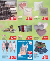 Aktueller famila Nordost Prospekt mit Unterwäsche, "besser als gut!", Seite 22