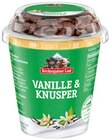 Frucht & Knusper Joghurt im Angebot bei REWE in Bamberg Frucht & Knusper Joghurt Angebote von Berchtesgadener Land bei REWE Bamberg für 0,59 €