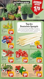 Ähnliche Angebote wie Sellerie im Prospekt "Dein Markt" auf Seite 7 von REWE in Leipzig