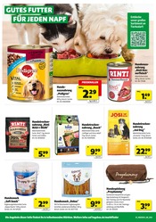 Hundefutter im Hagebaumarkt Prospekt in St. Ingbert Aktueller Hagebaumarkt Prospekt mit Hundefutter, "So günstig geht das!", Seite 16