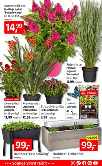 Pflanzen Angebot im aktuellen BAUHAUS Prospekt auf Seite 5