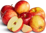 Deutsche rote Äpfel im Angebot bei Penny in Delmenhorst Deutsche rote Äpfel Angebote bei Penny Delmenhorst für 1,69 €