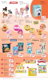 Rossmann Kamera im Prospekt 