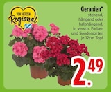Geranien von  im aktuellen EDEKA Prospekt für 2,49 €
