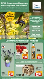 Ähnliche Heu Angebote im Prospekt "Dein Markt" von REWE in Fürth Ähnliche Angebote wie Heu im Prospekt "Dein Markt" auf Seite 17 von REWE in Fürth