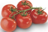 Aktuelle Tomaten Angebote bei combi in Paderborn Aktuelles 20% Rabatt Angebot bei combi in Paderborn