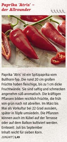 Paprika bei BAUHAUS in Bottrop Paprika im Angebot bei BAUHAUS Bottrop für 5,49 €