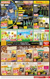 Gartendeko im Norma Prospekt in Coburg Aktueller Norma Prospekt mit Gartendeko, "Mehr fürs Geld", Seite 5