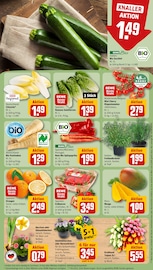 Tulpen im REWE Prospekt in Fürth Aktueller REWE Prospekt mit Tulpen, "Dein Markt", Seite 9