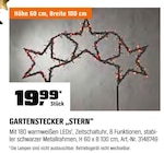 Gartenstecker „Stern“ im Angebot bei OBI in Soest Gartenstecker „Stern“ Angebote bei OBI Soest für 19,99 €