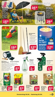 Gartengeräte Angebot im Netto mit dem Scottie Prospekt, gültig von 15.06.2026 bis 20.06.2026 Gartengeräte Angebot im aktuellen Netto mit dem Scottie Prospekt auf Seite 21