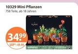 Aktuelles 10329 Mini Pflanzen Angebot bei V-Markt in Augsburg ab 34,99 €