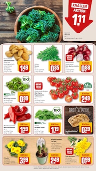 Paprika im REWE Prospekt "Dein Markt" mit 32 Seiten (Siegen (Universitätsstadt))