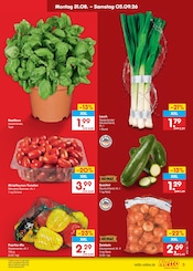 Tomaten im Netto Marken-Discount Prospekt in Frankfurt Aktueller Netto Marken-Discount Prospekt mit Tomaten, "Aktuelle Angebote", Seite 7